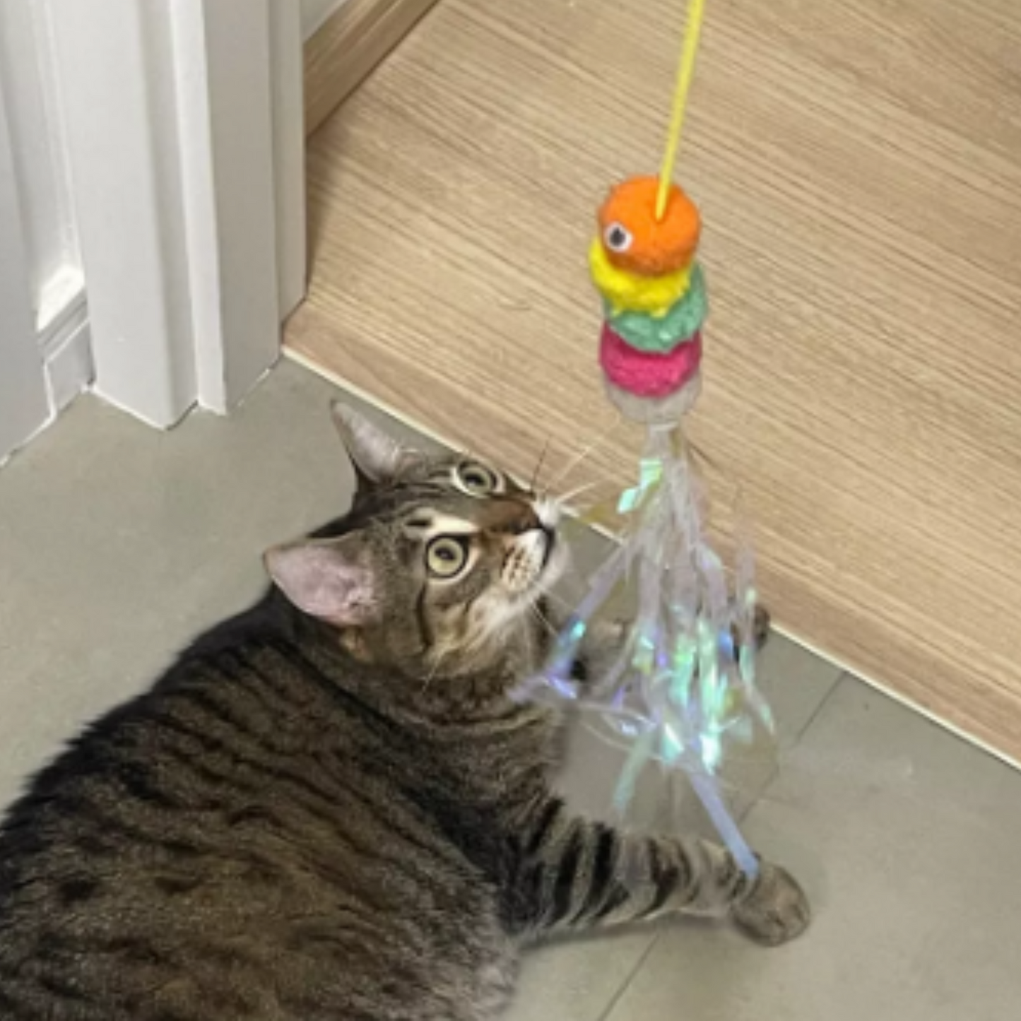 ElastiCat