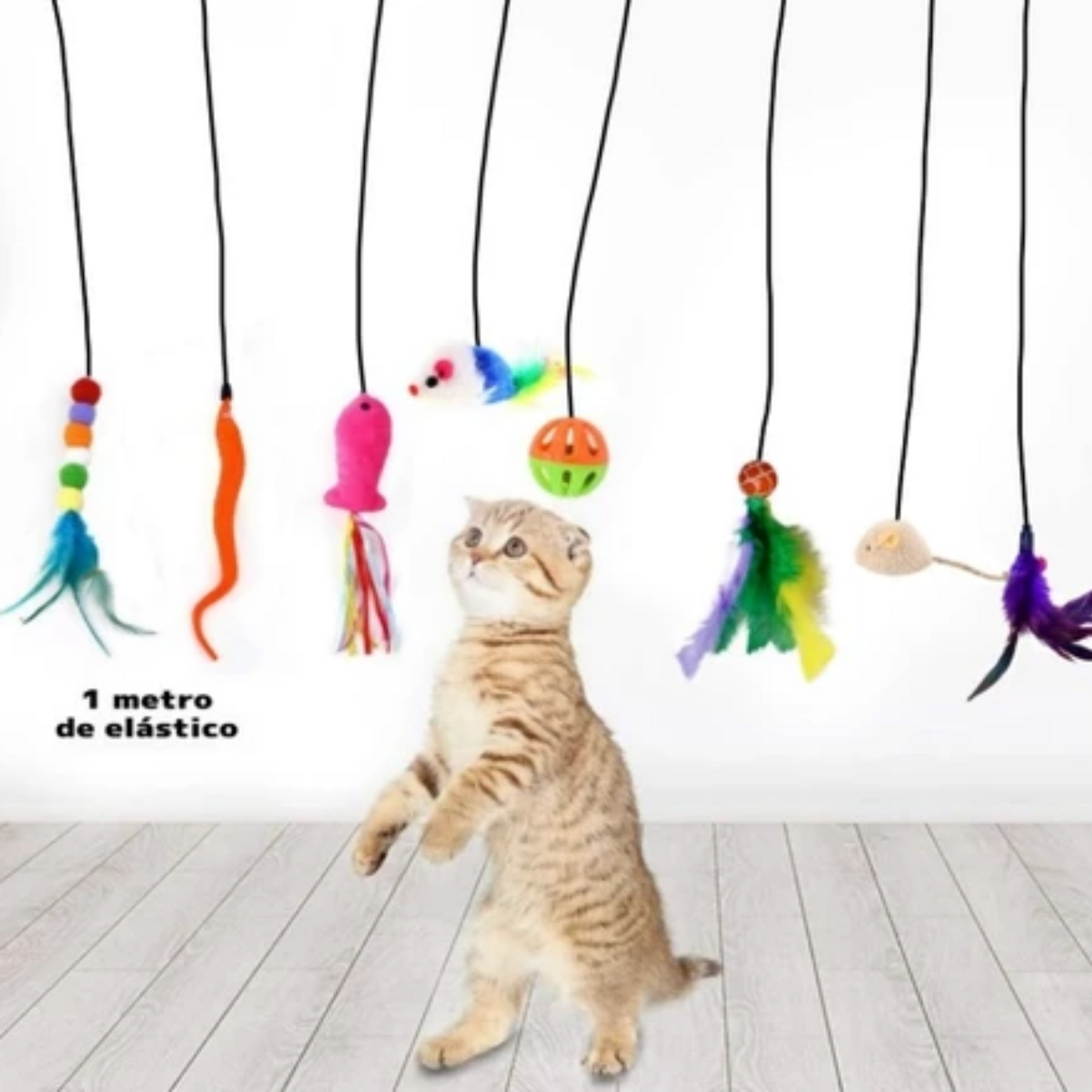 ElastiCat