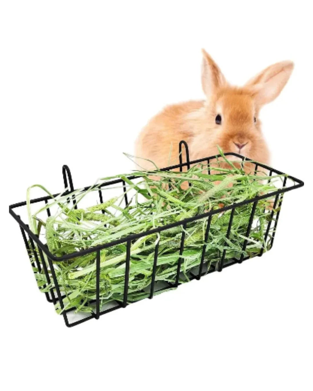FenoBox