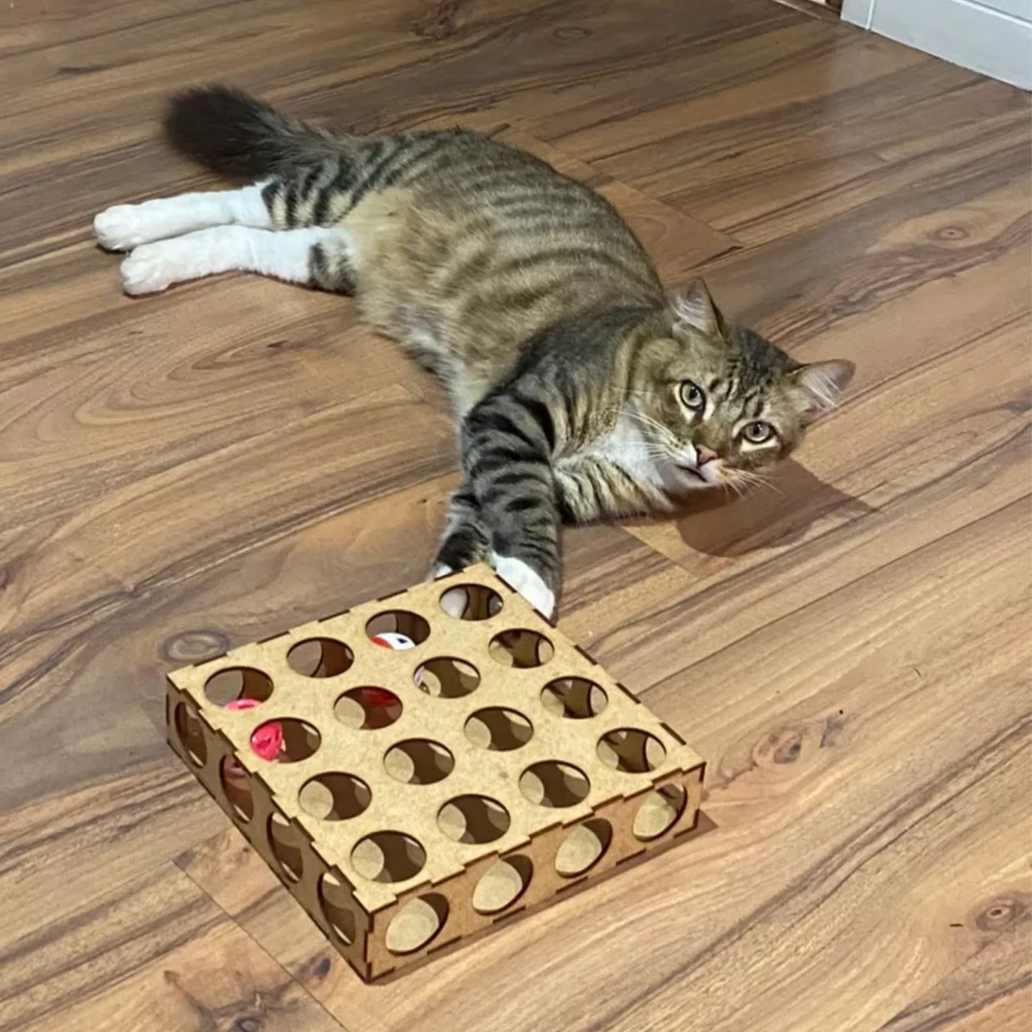 MiauBirinto