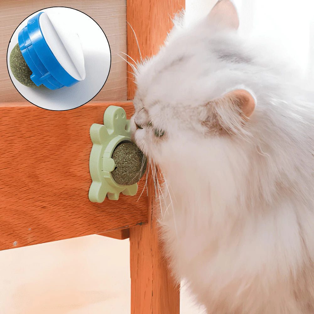 CrabbyCat